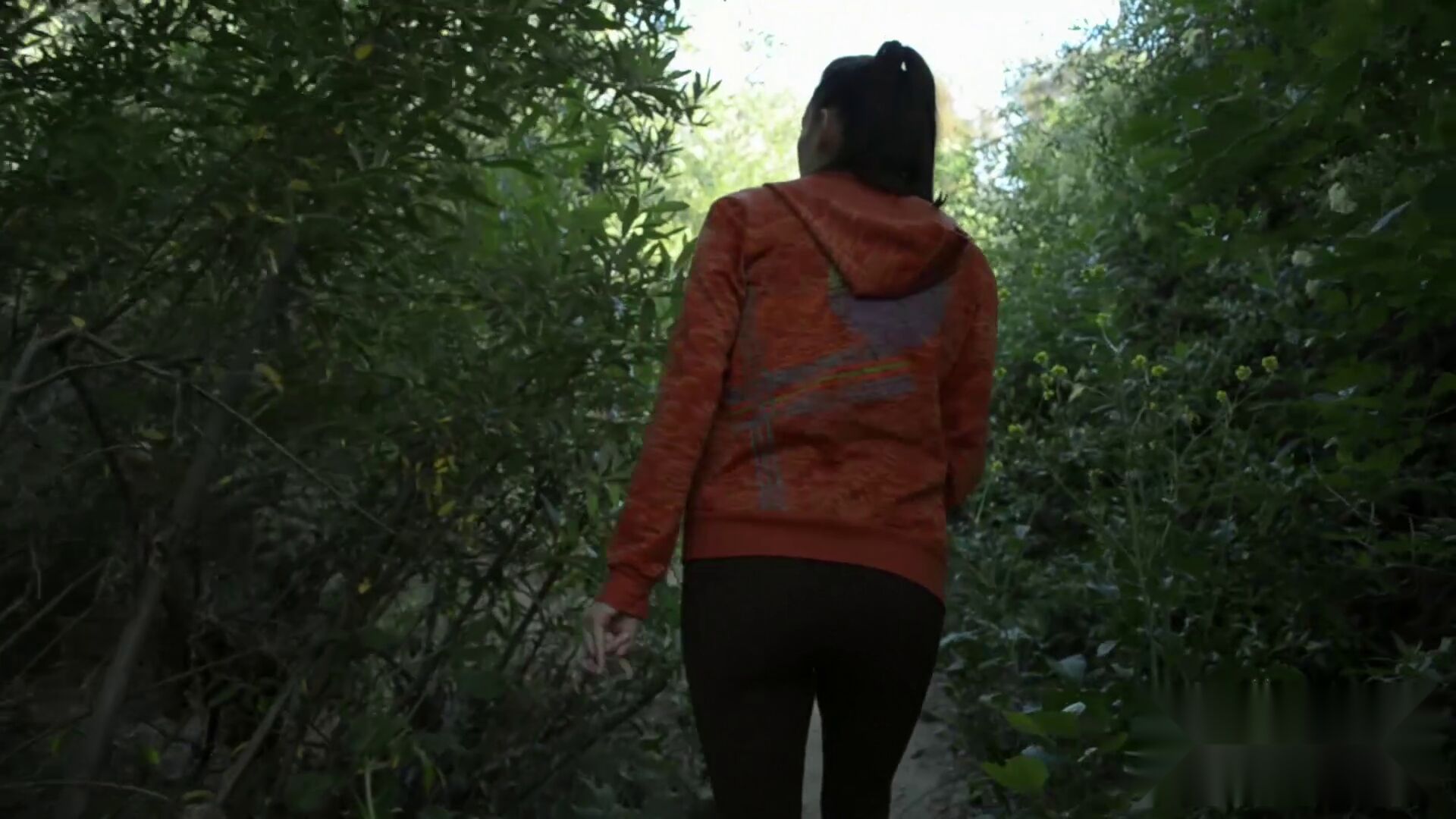 Blog image 6