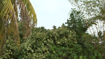 Double Pussy Hot FF Spread